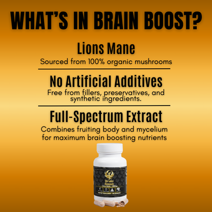 BrainBoost - Lion's Mane Mushroom