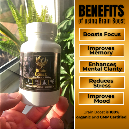 BrainBoost - Lion's Mane Mushroom