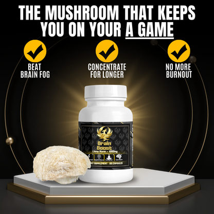 BrainBoost - Lion's Mane Mushroom